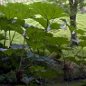 Cotentin2007 (18)